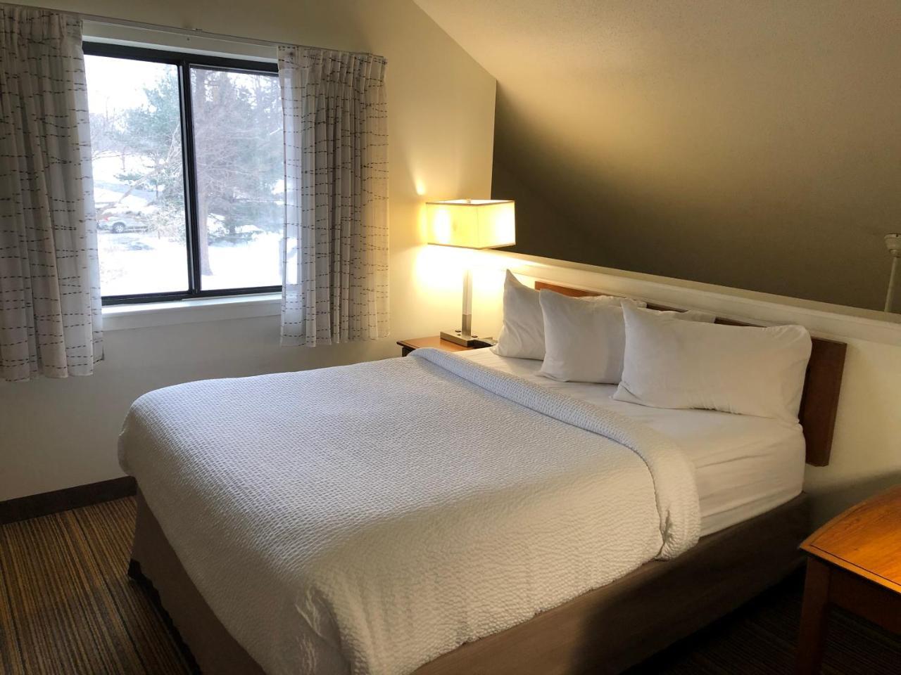 Albany Airport Inn And Suites لاثام المظهر الخارجي الصورة