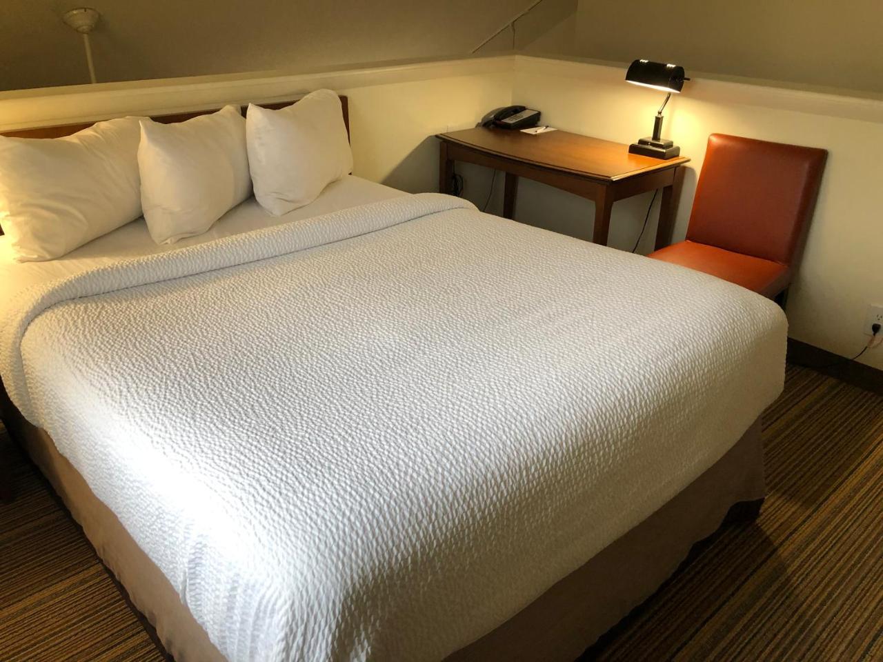 Albany Airport Inn And Suites لاثام المظهر الخارجي الصورة